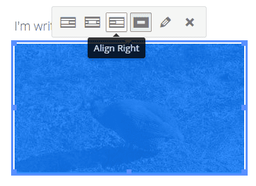 A Look At The Upcoming WordPress Front-End Editor - Adding images