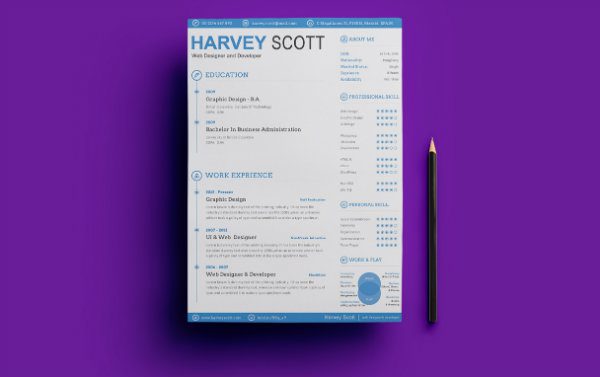 Ashiqul Islam Resume 2