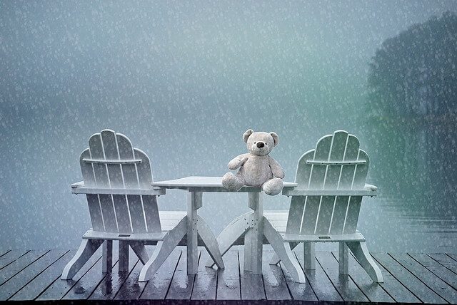 Teddy on table in rain