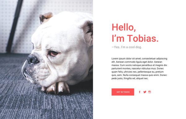 divi-100-profile-pages-layout-pack-06