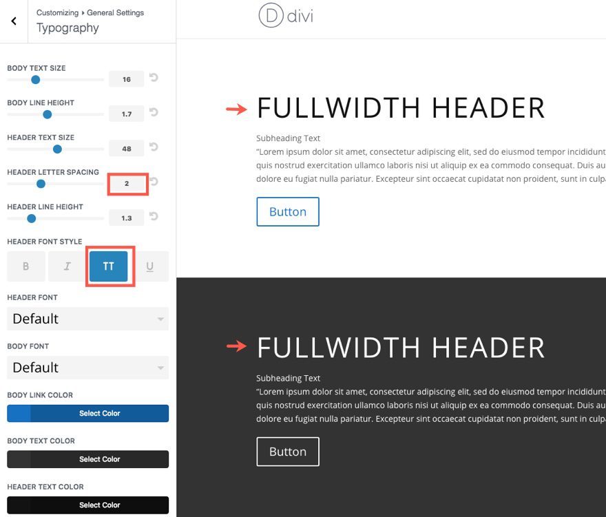 Divi Theme Customizer