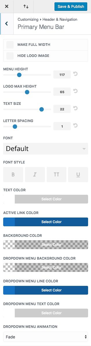 Divi Theme Customizer