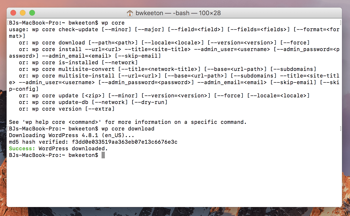 Command Line Prompts for WordPress