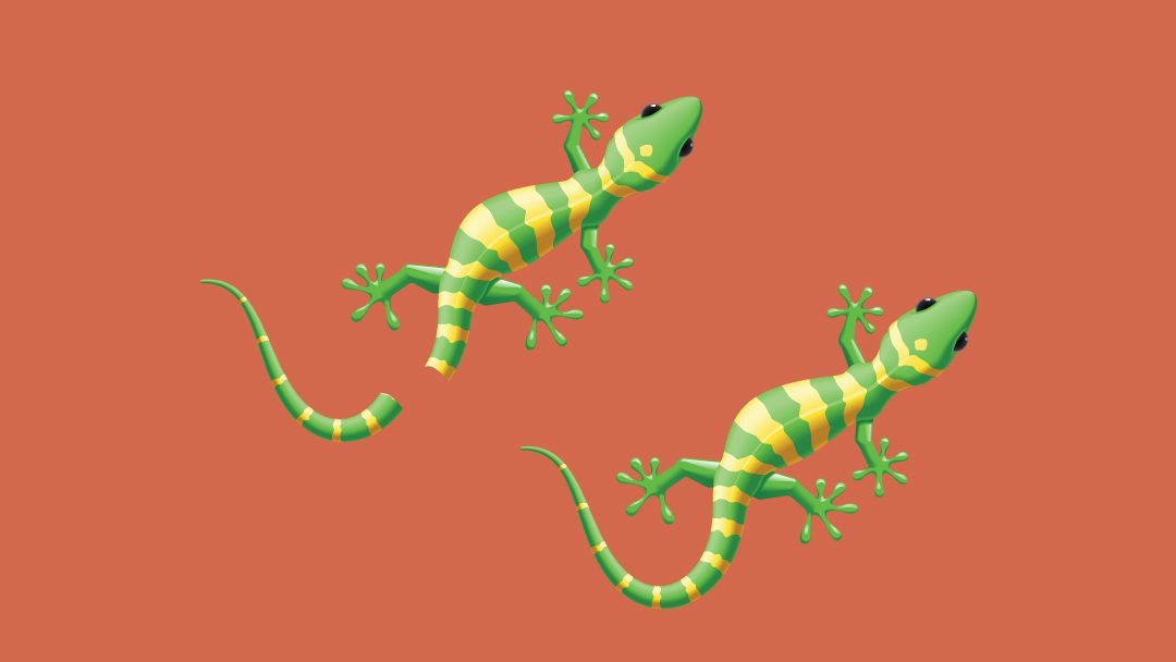 How to Regenerate Thumbnails and Crop Images in WordPress