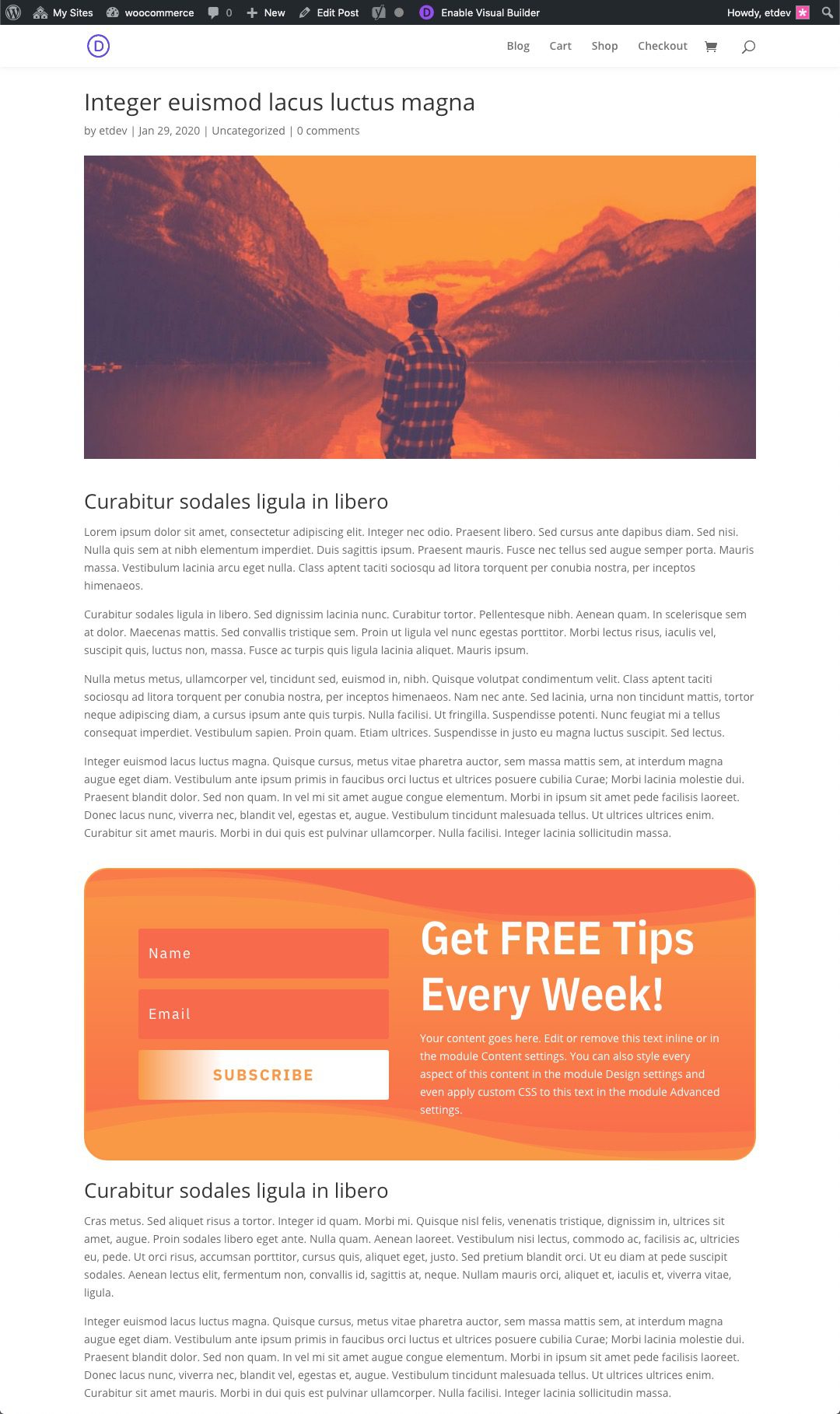 Gutenberg Divi Email Optin