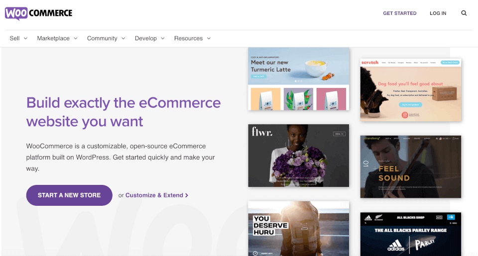 The WooCommerce plugin.