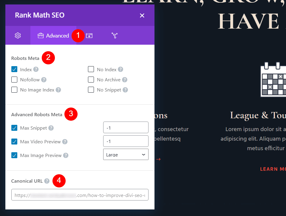 Rank Math Advanced Tab