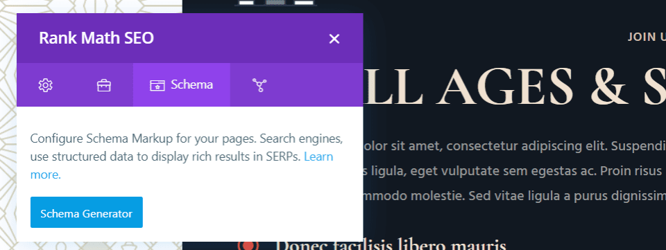 Rank Math Schema Tab