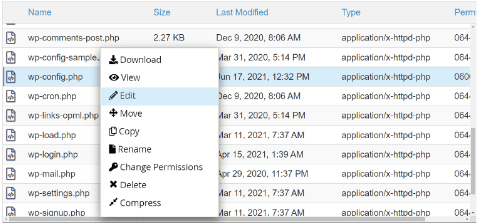 Check the wp-config File