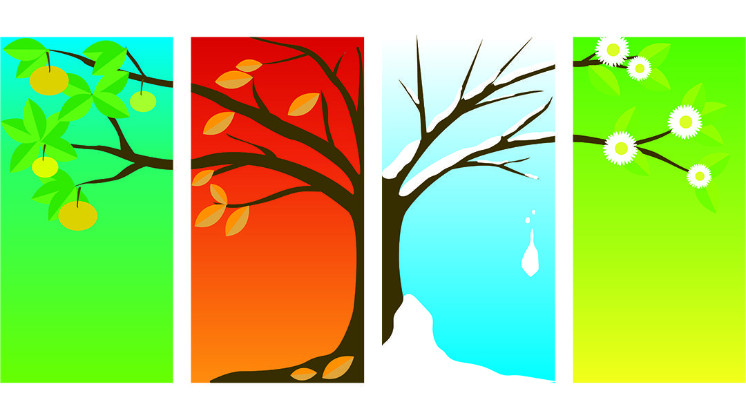 How to Build a Seasonal Marketing Plan