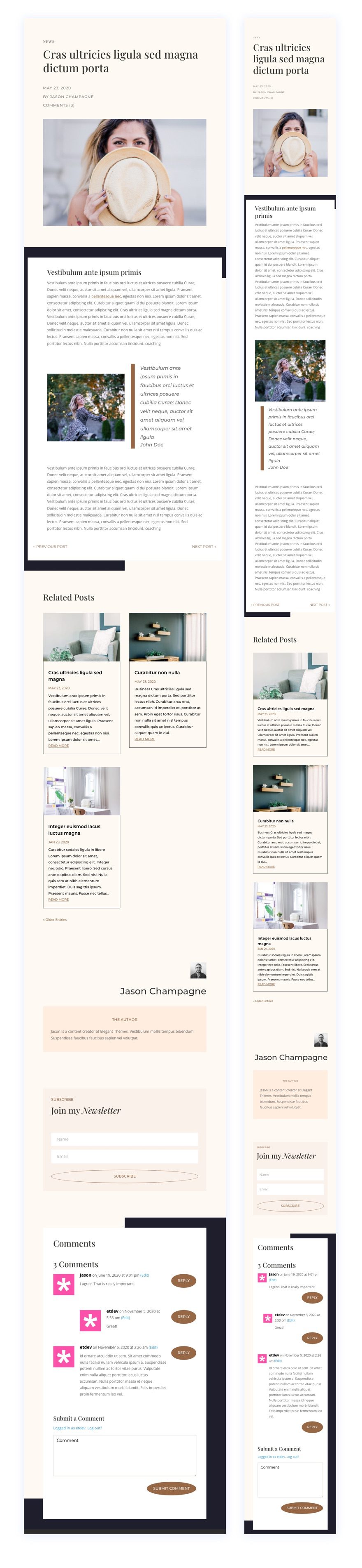 divi fashion designer blog post template