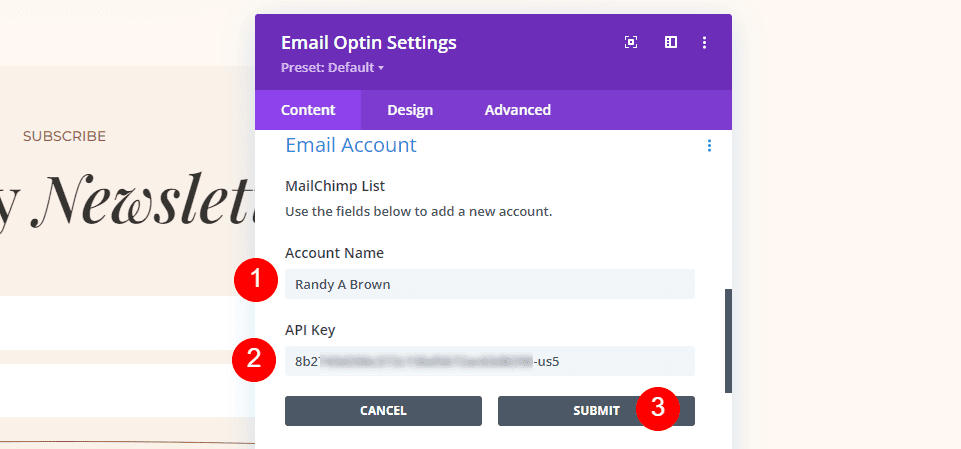MailChimp Divi Set up Email Account Example