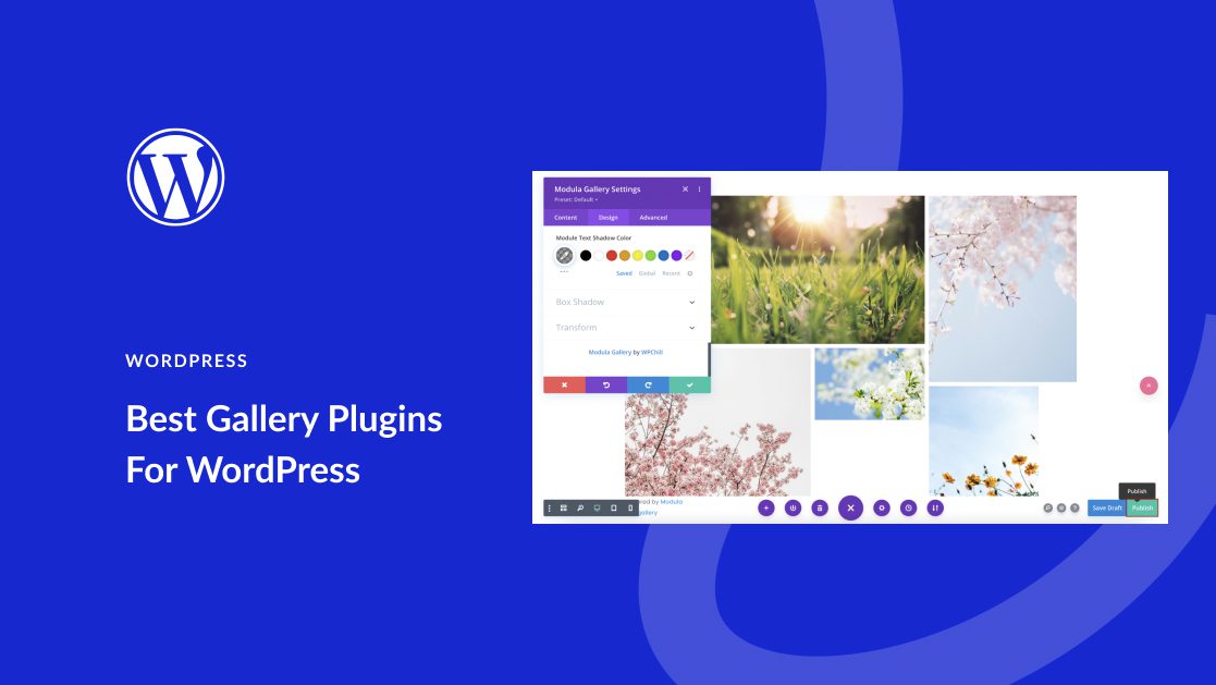 8 Best WordPress Gallery Plugins in 2025 (Detailed Comparison)
