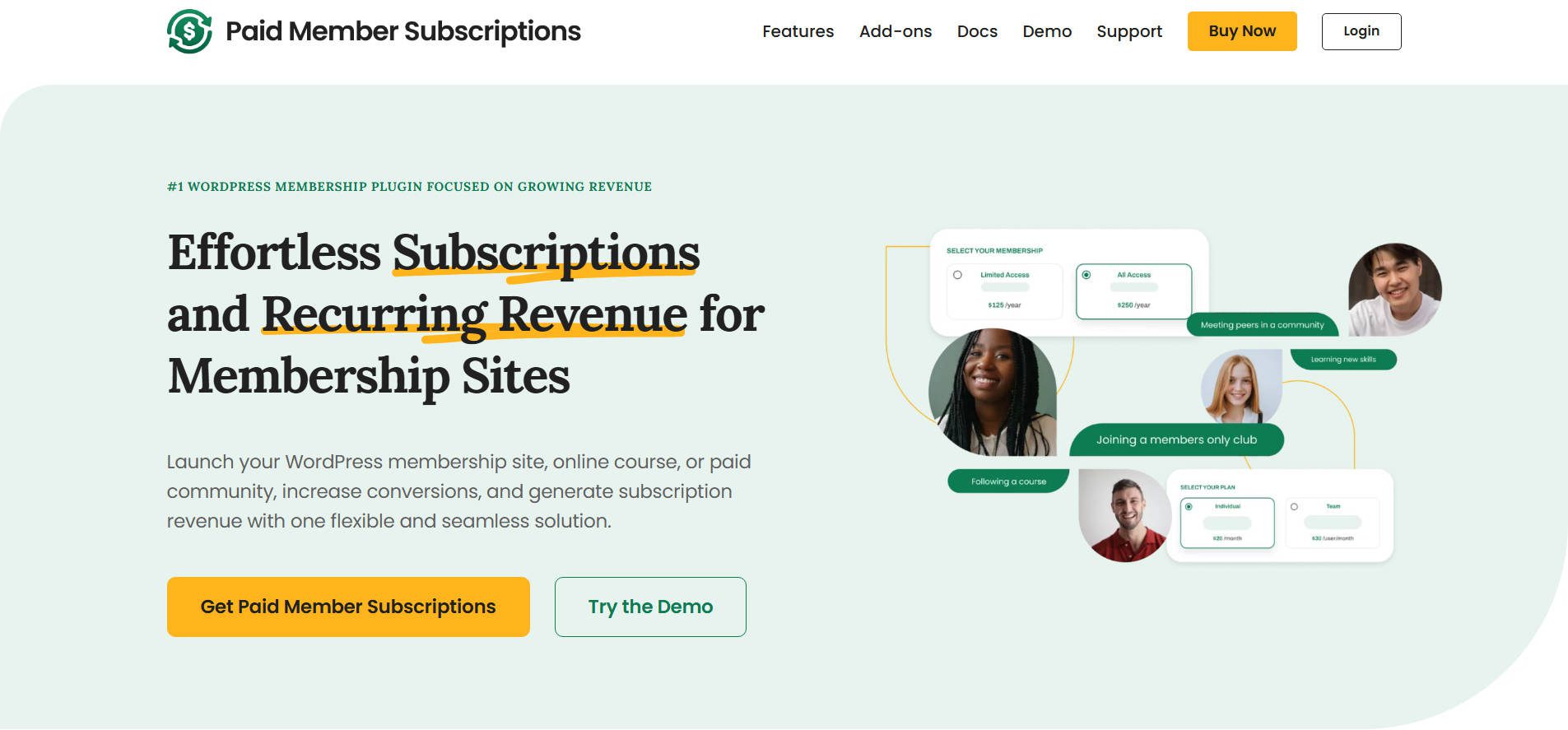 Paid Member Subscriptions - LP Cozmoslabs - June 2025