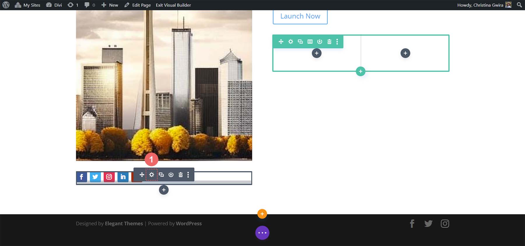 Edit social media follow button