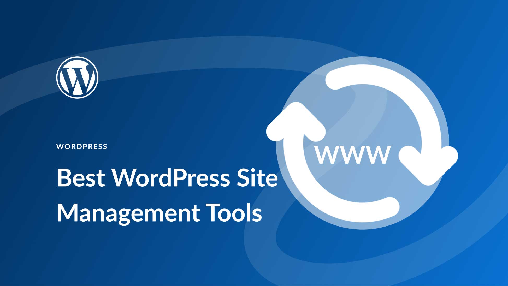 10 Best WordPress Site Management Tools in 2025 (Compared)