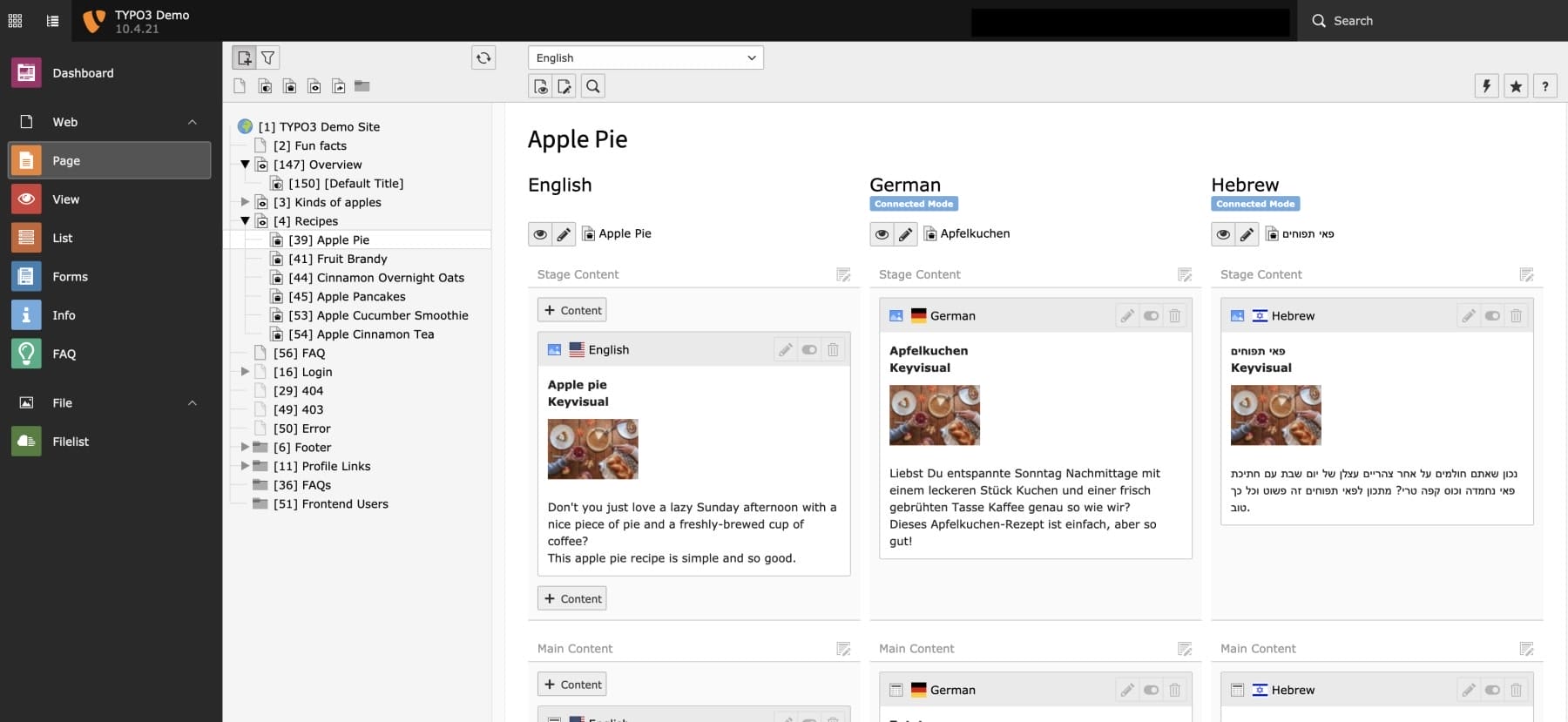 TYPO3 CMS Multi-lingual Pages
