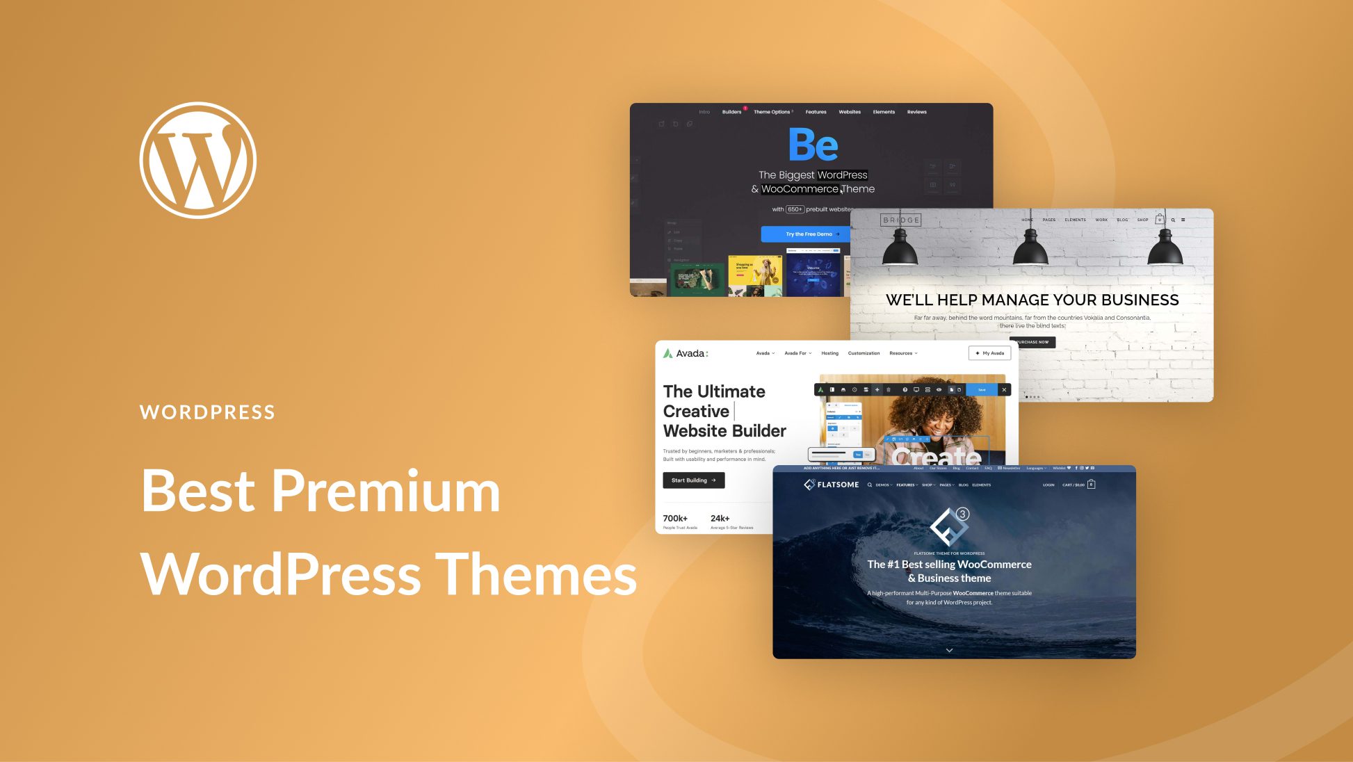 11 Best Premium WordPress Themes in 2025 (Expert Picks)