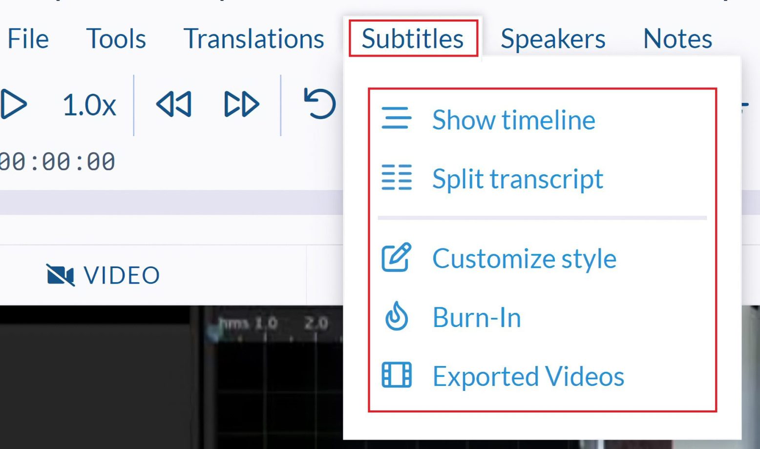 Subtitles Features
