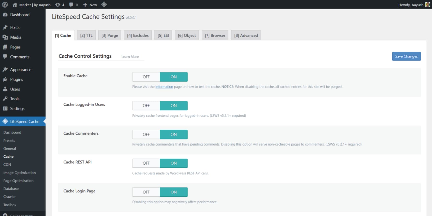 A screenshot of LiteSpeed Cache's User Interface