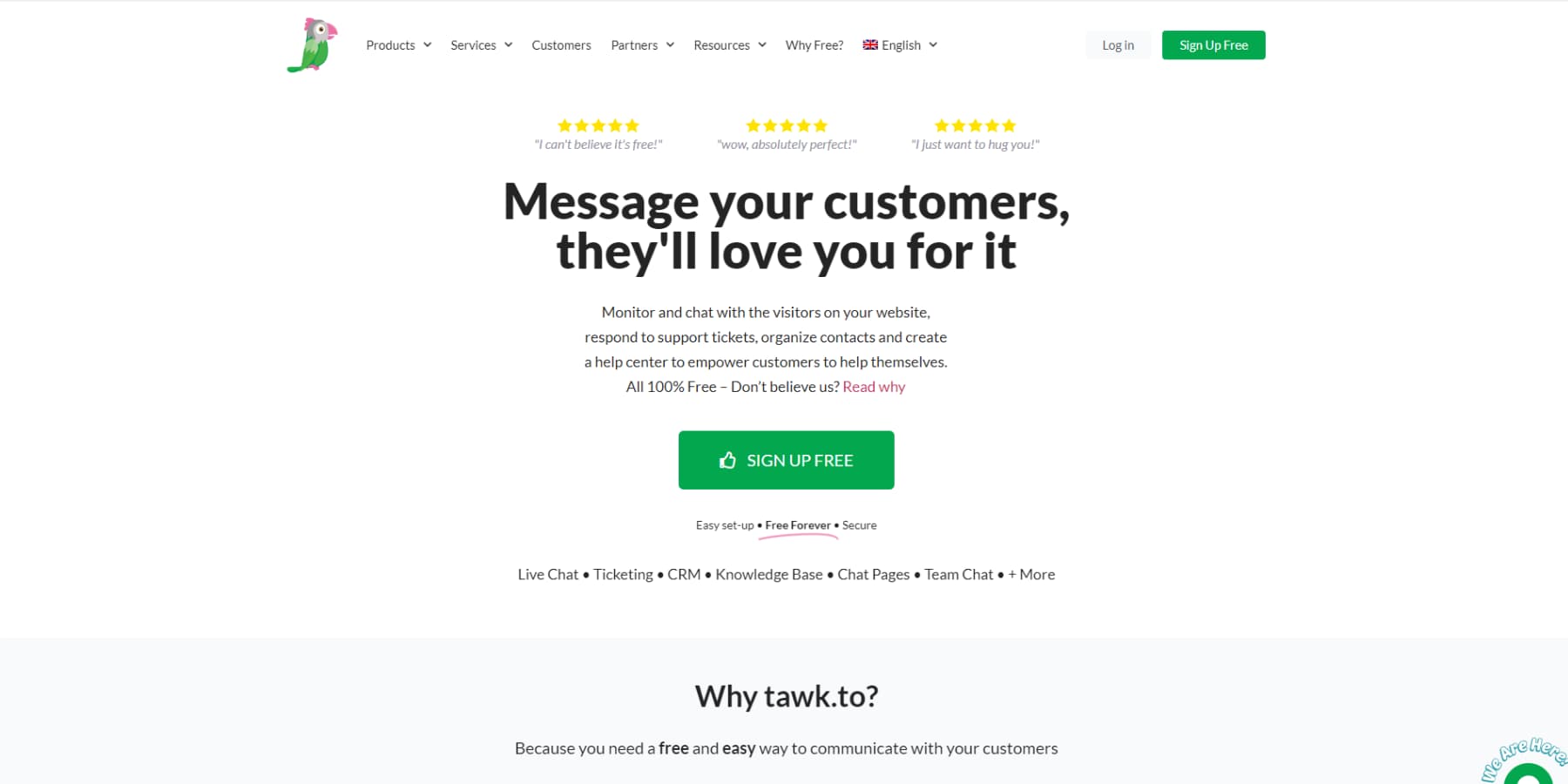 A screenshot of Tawk.To's home page