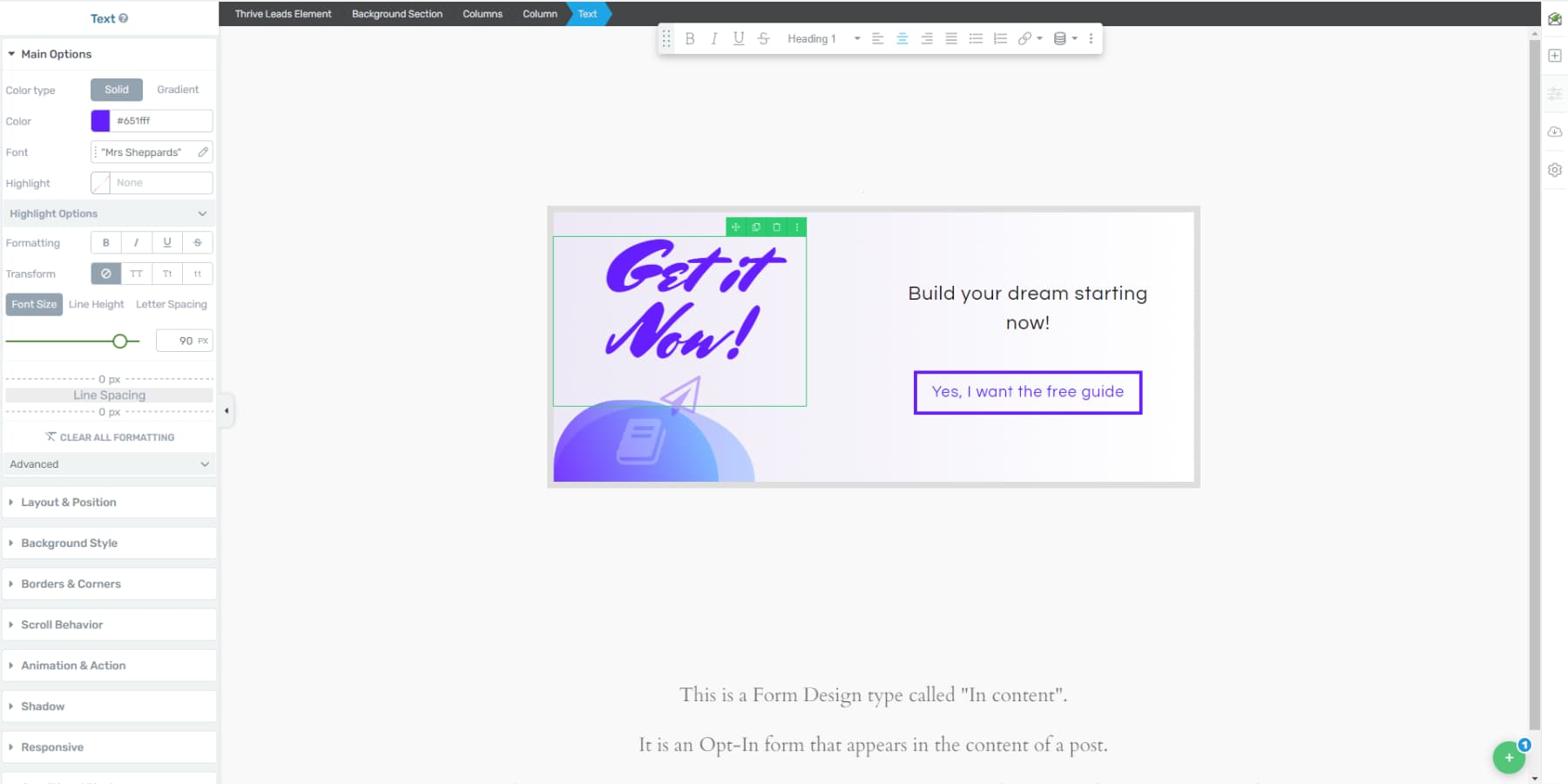 A screenshot of Thrive Leads' user interface
