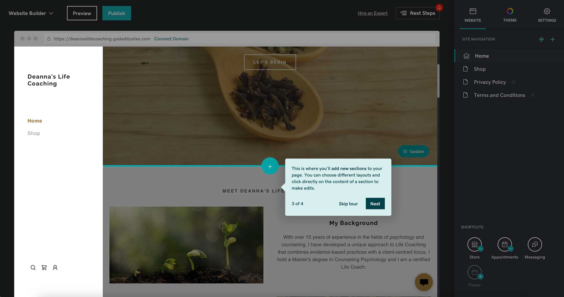 Godaddy interface tutorial