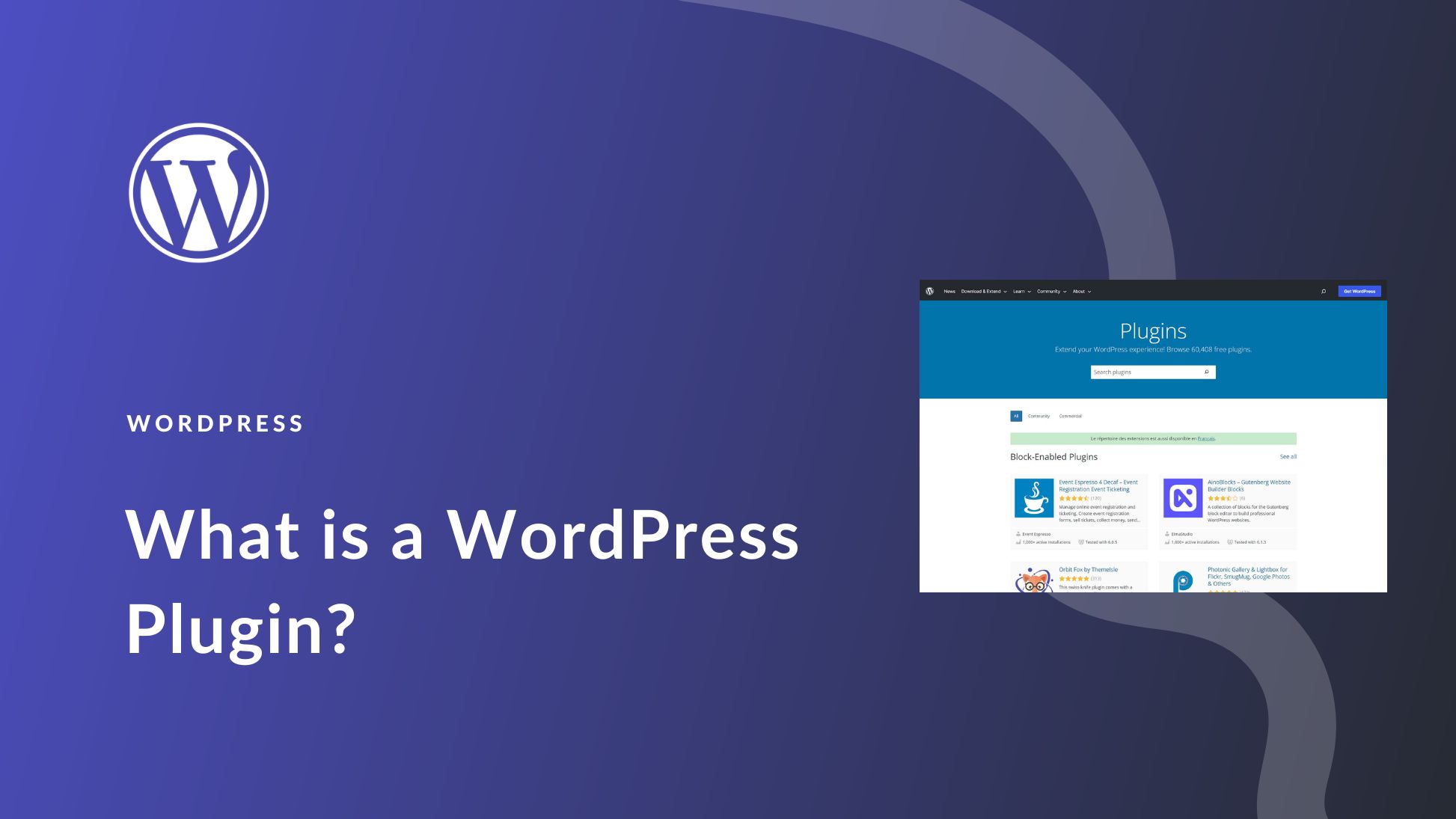 What is a WordPress Plugin? A Beginner’s Guide for 2025
