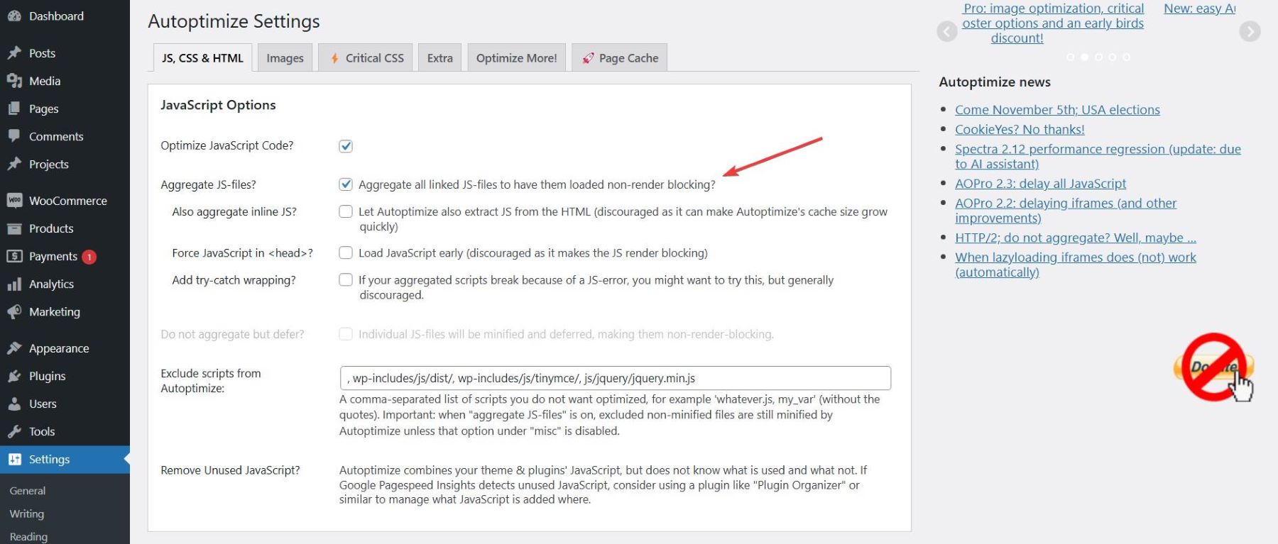 autoptimize advanced settings