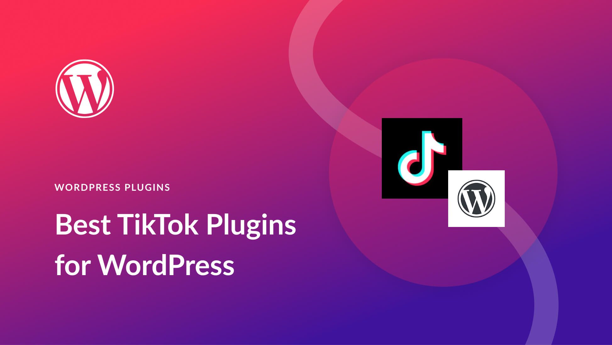 5 Best TikTok Plugins for WordPress in 2025 (Top Picks)