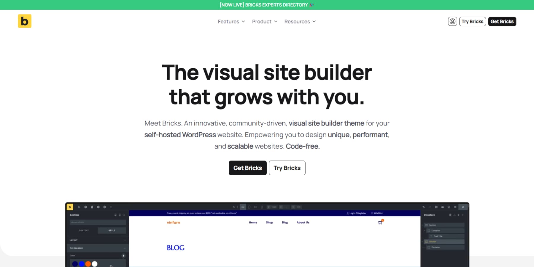 A screenshot of Bricks Builder's homepage
