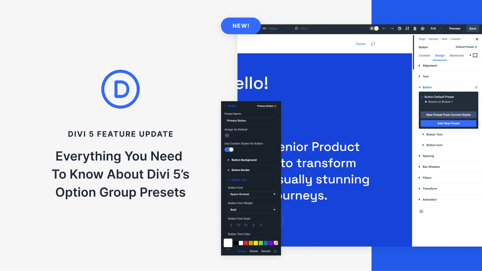 Everything You Need To Know About Divi 5’s Option Group Presets