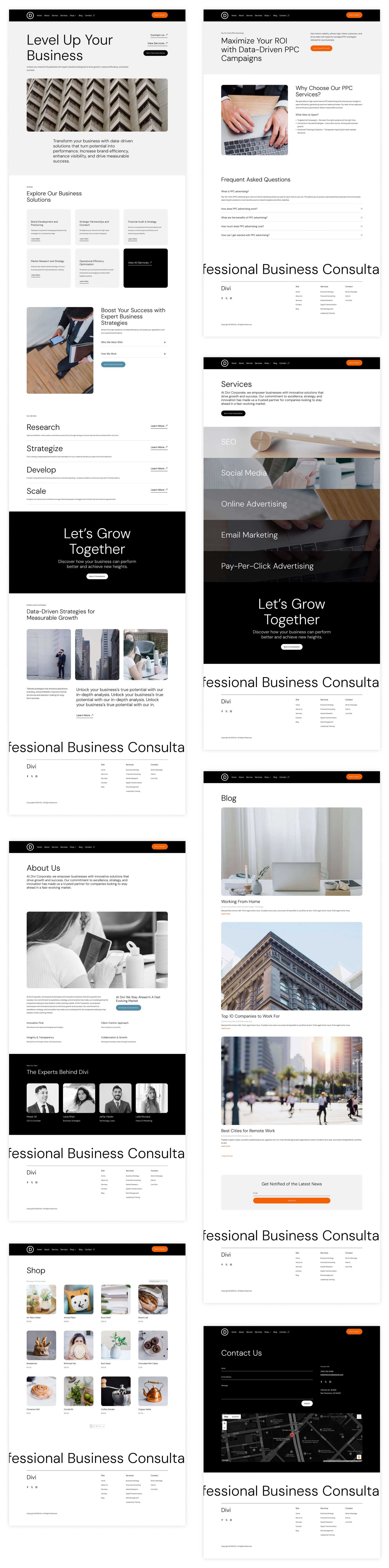 professional starter site for Divi