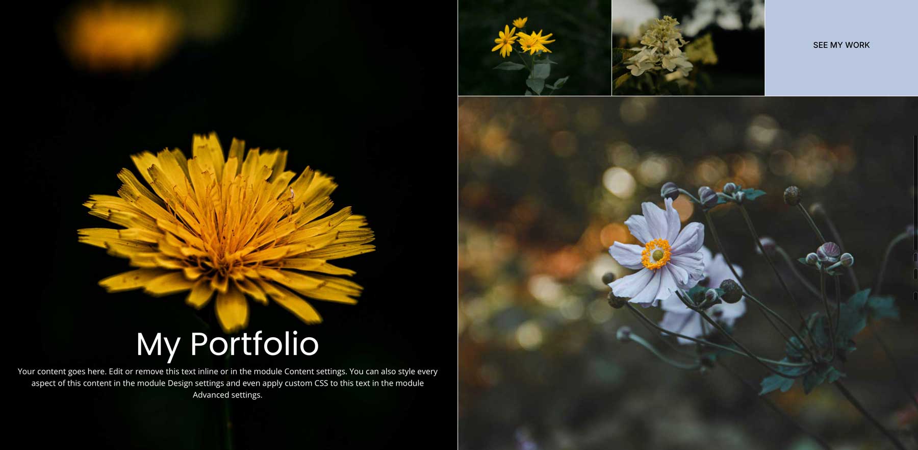 nested rows in Divi 5