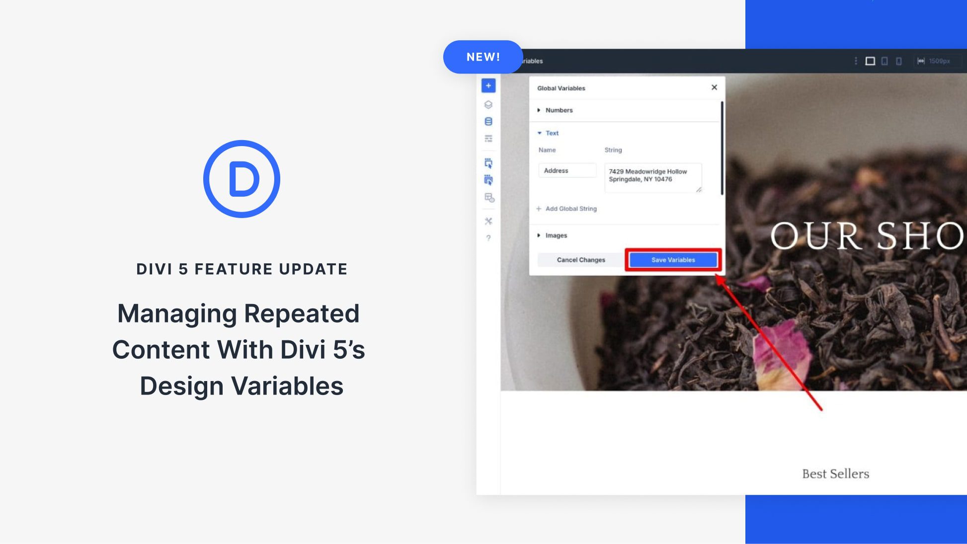 Managing Repeated Content With Divi 5’s Design Variables