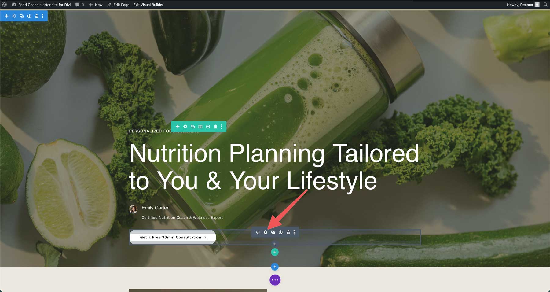 food coach starter site for Divi