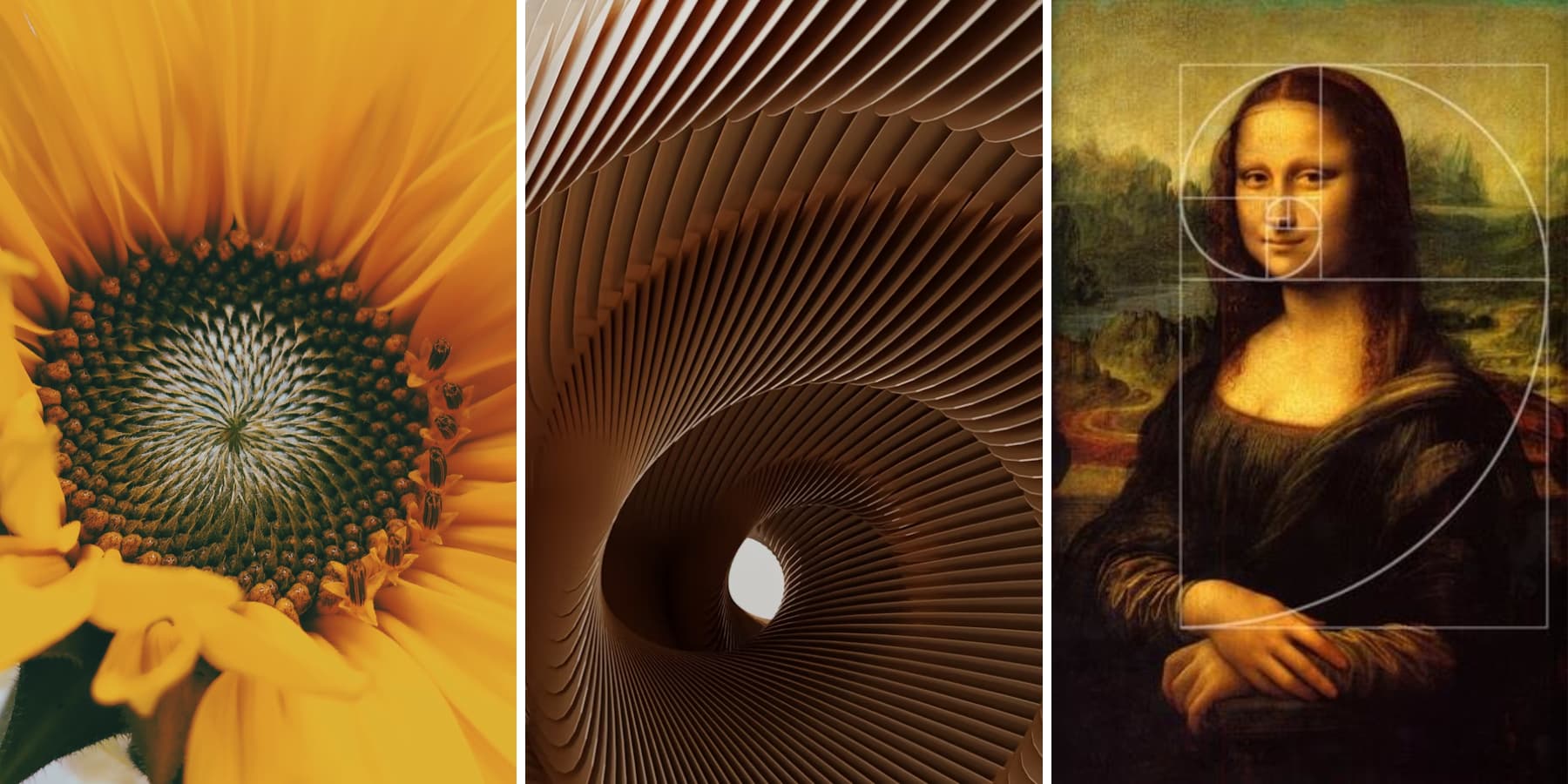 A visual presentation of Fibonacci sequences on several objects