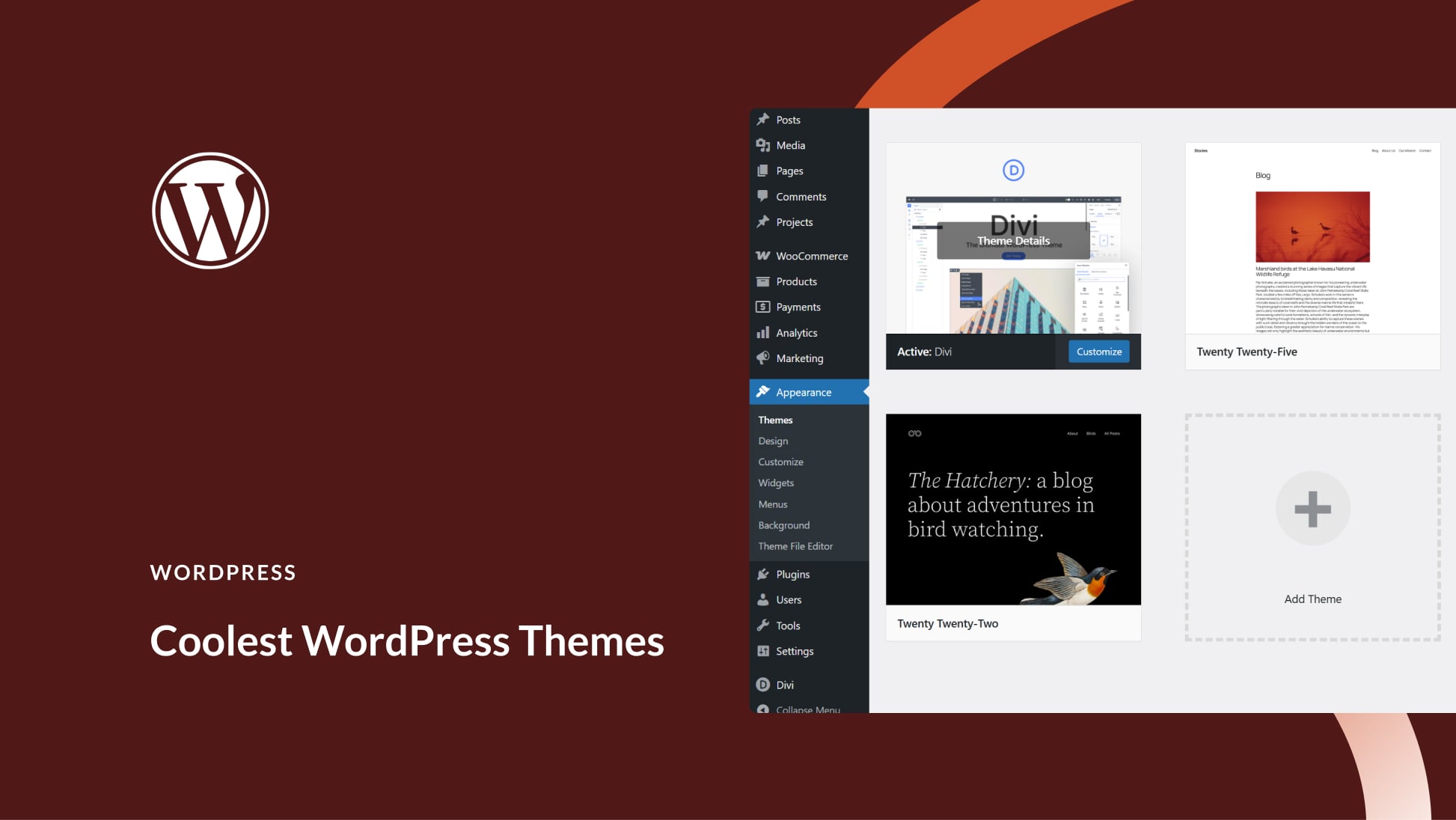 7 Coolest WordPress Themes (Compared)