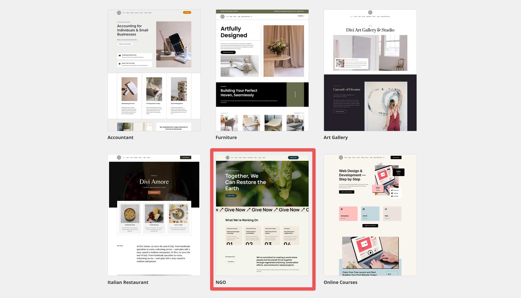 NGO starter site for Divi