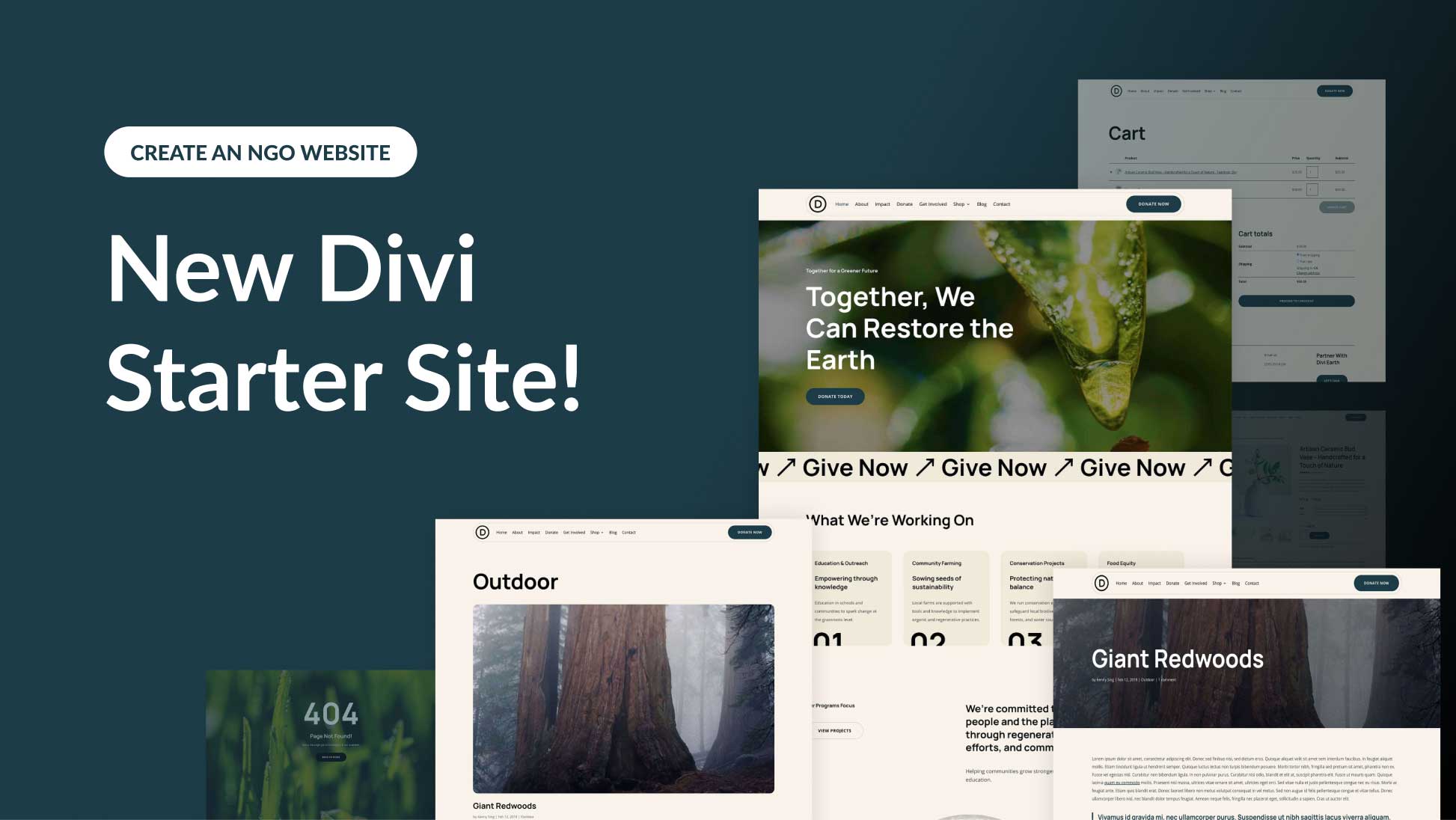 New NGO Starter Site for Divi (Quick Install)