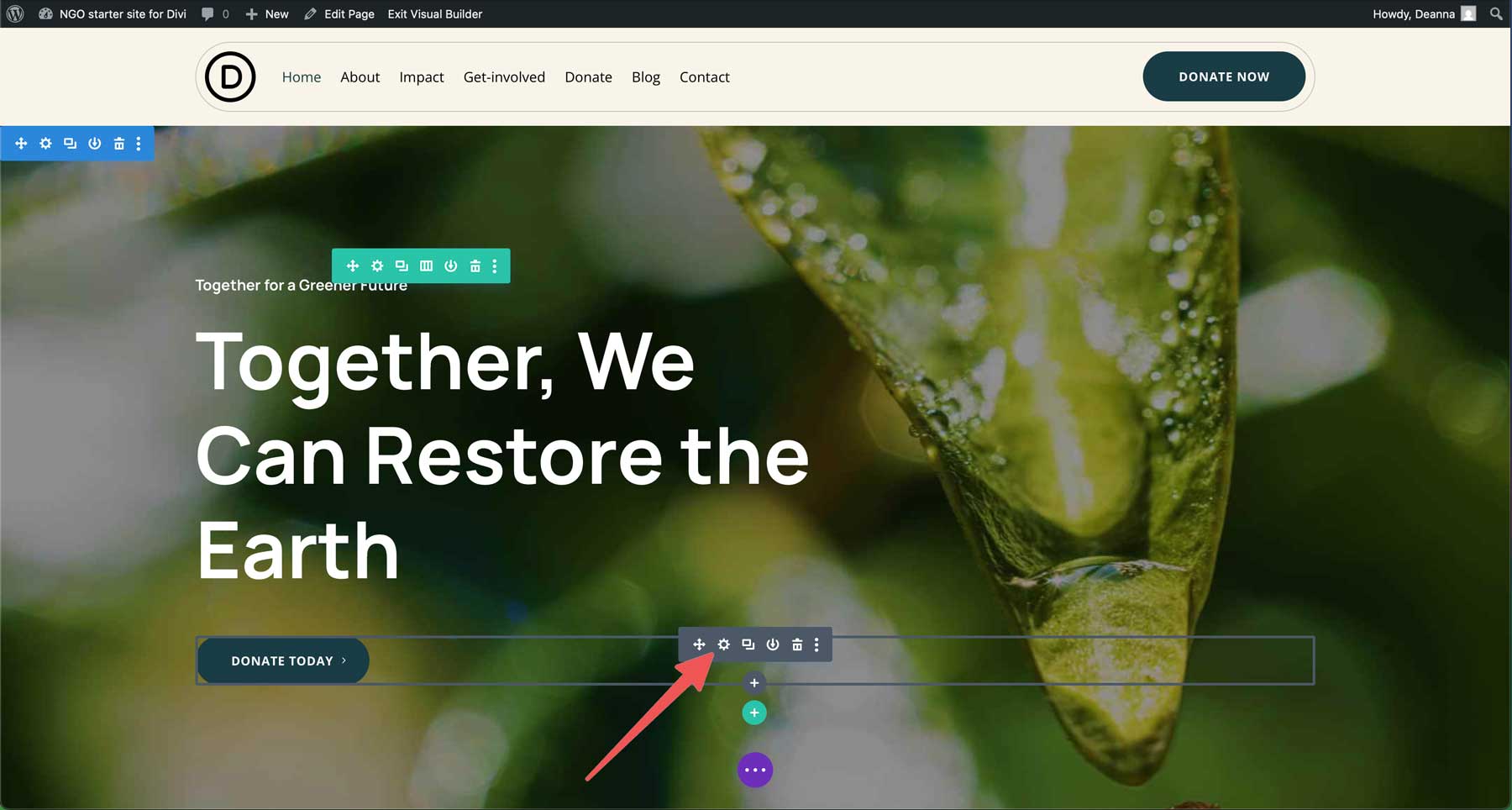 NGO starter site for Divi