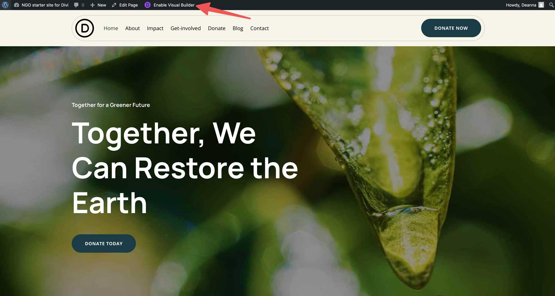 NGO starter site for Divi