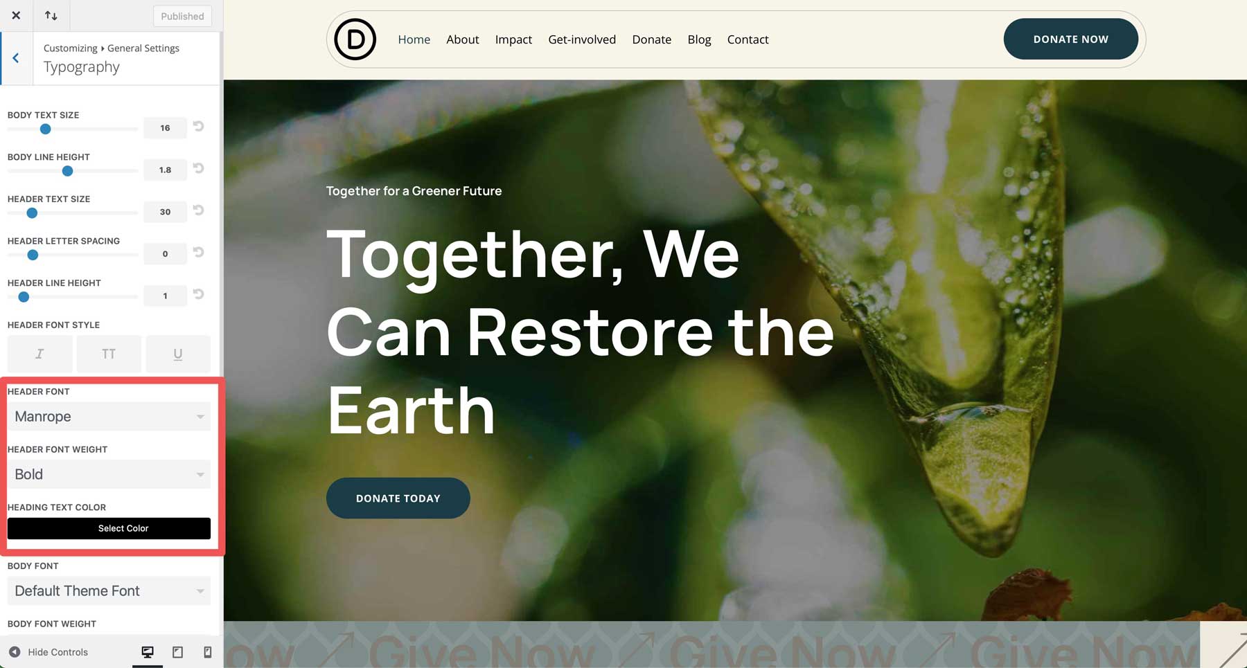 NGO starter site for Divi