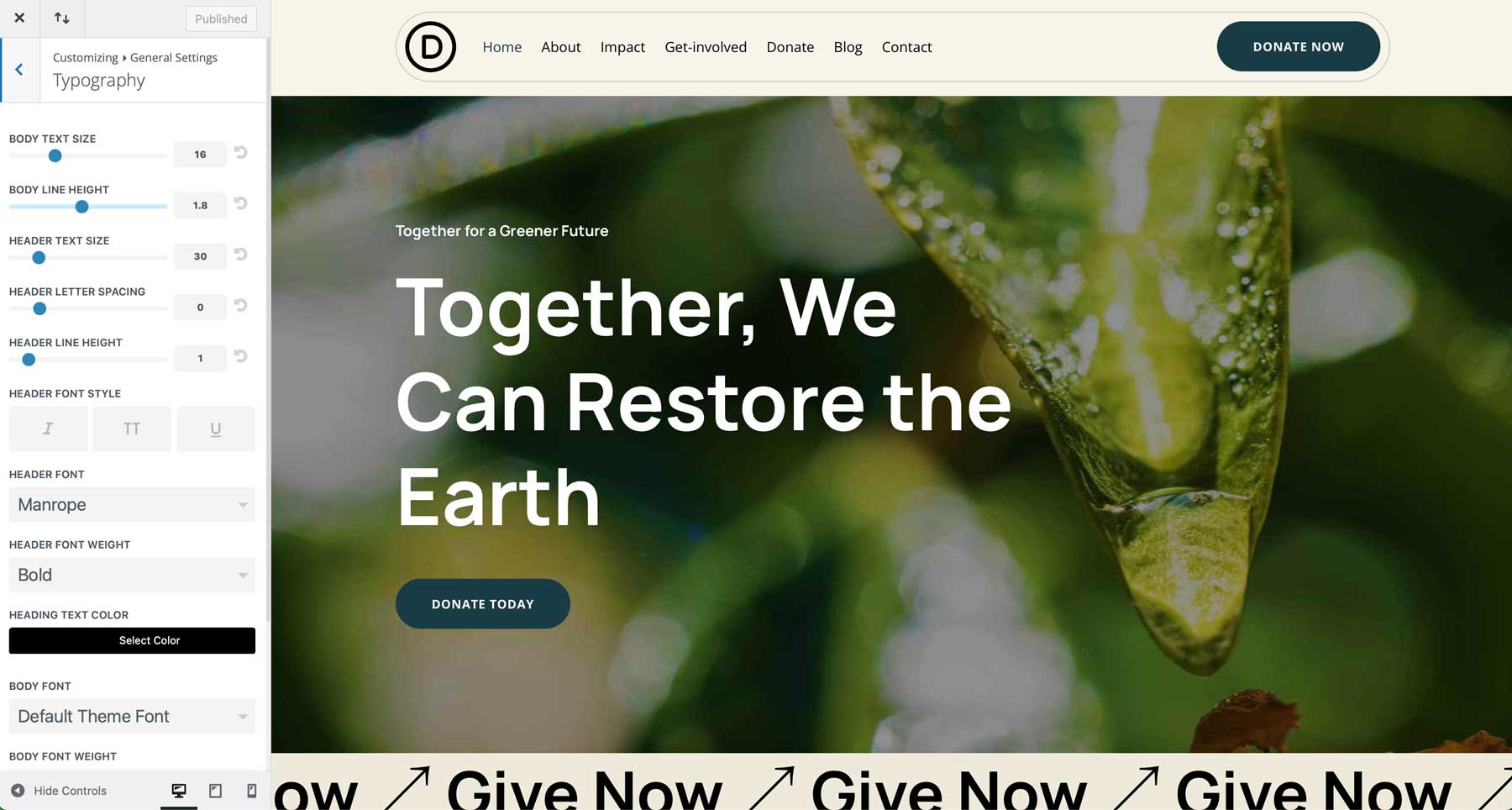 NGO starter site for Divi