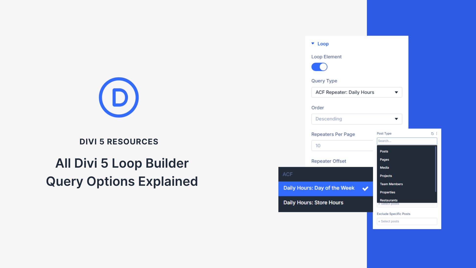 All Divi 5 Loop Builder Query Options Explained