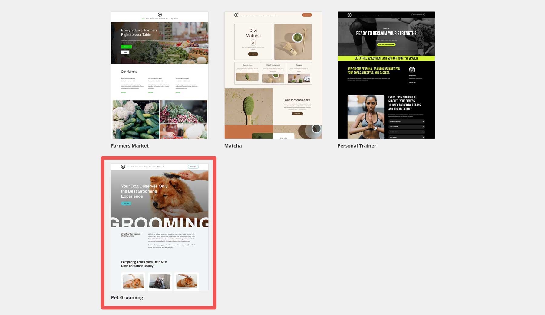 Pet Grooming starter site for Divi