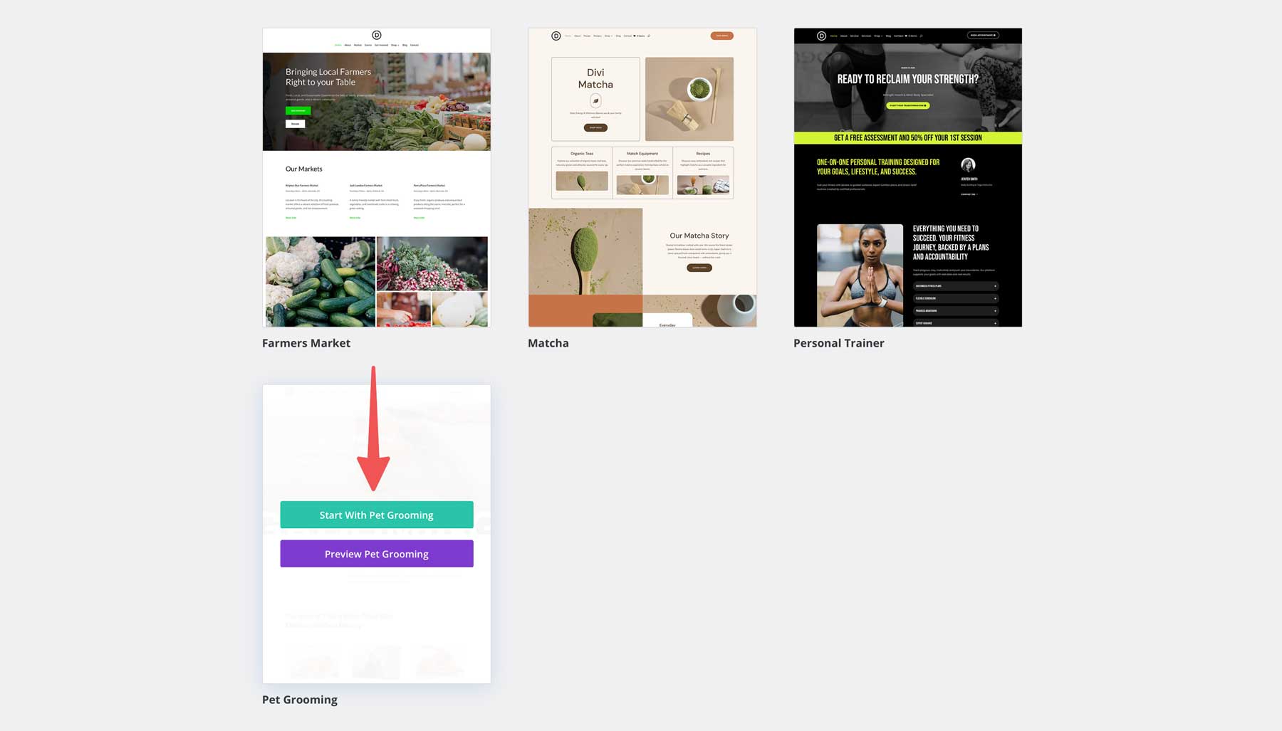 Pet Grooming starter site for Divi