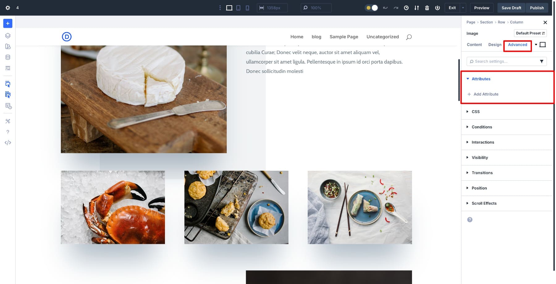 attributes option in new divi versions