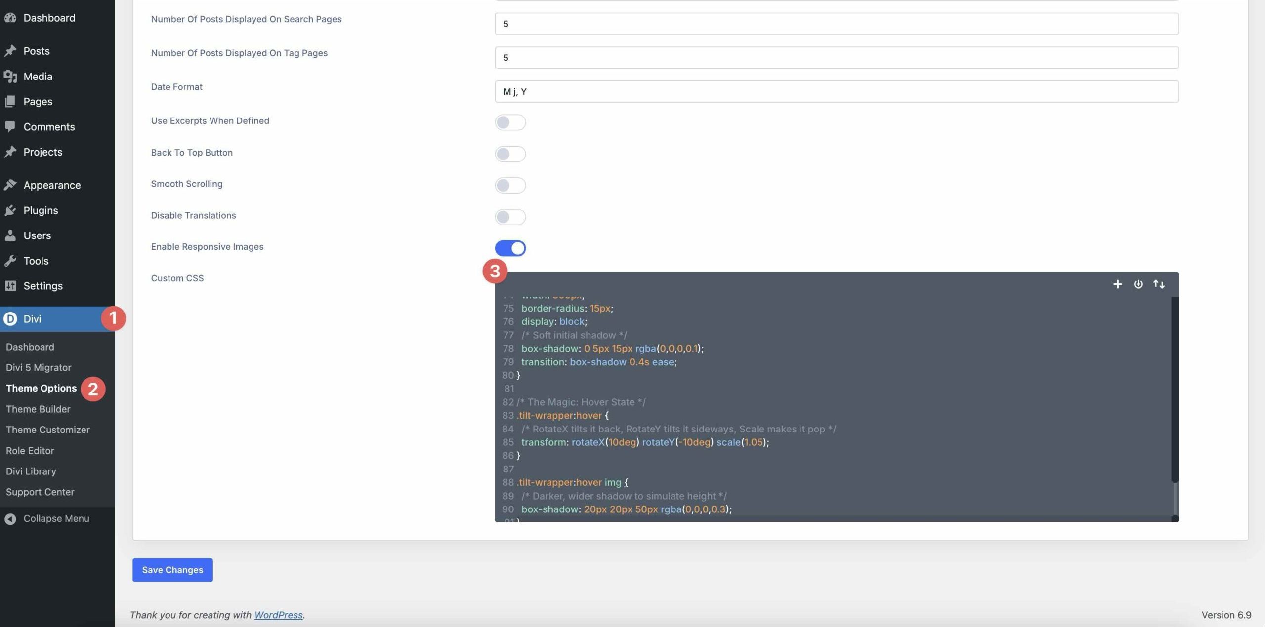 custom CSS in Divi theme options
