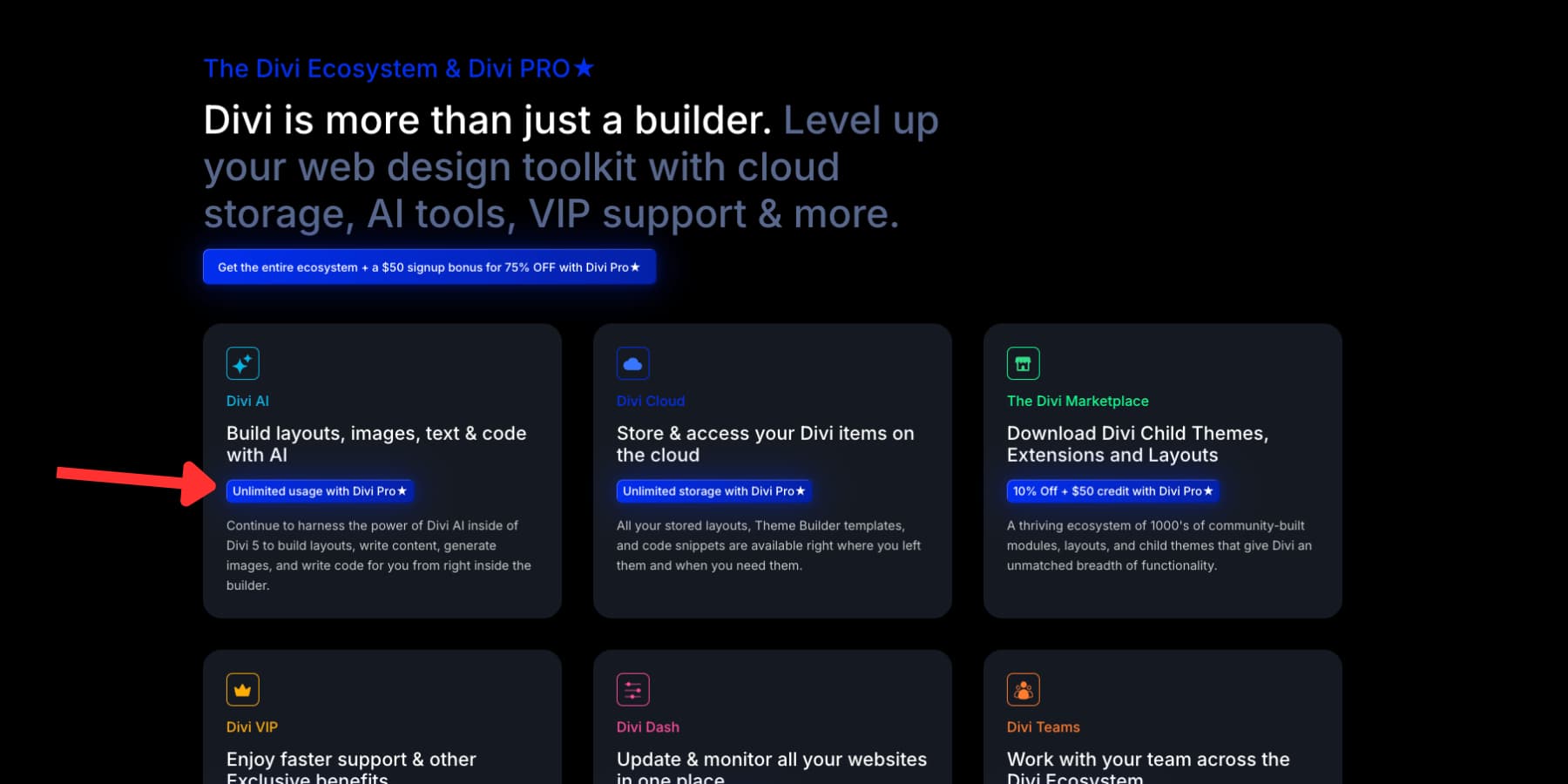 Examples of text badges from Divi 5's home page